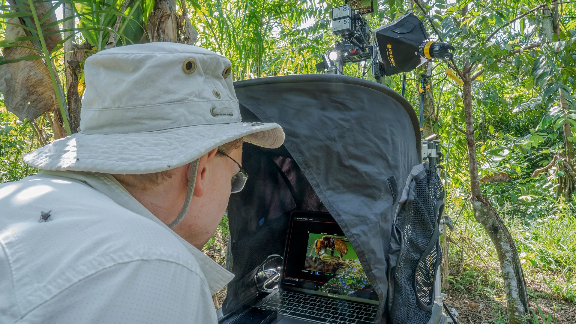 This scene depicts a field researcher or nature photographer analyzing wildlife images in a tropical environment. Secrets Of The Bees, National Geographic