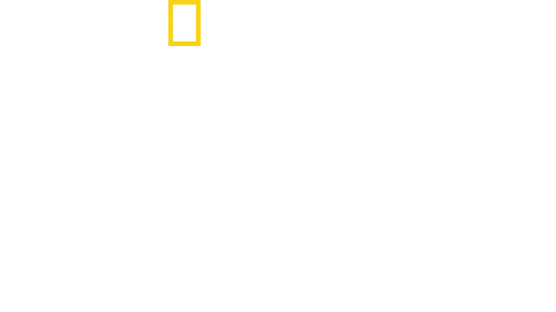 POSITIVE ENERGY