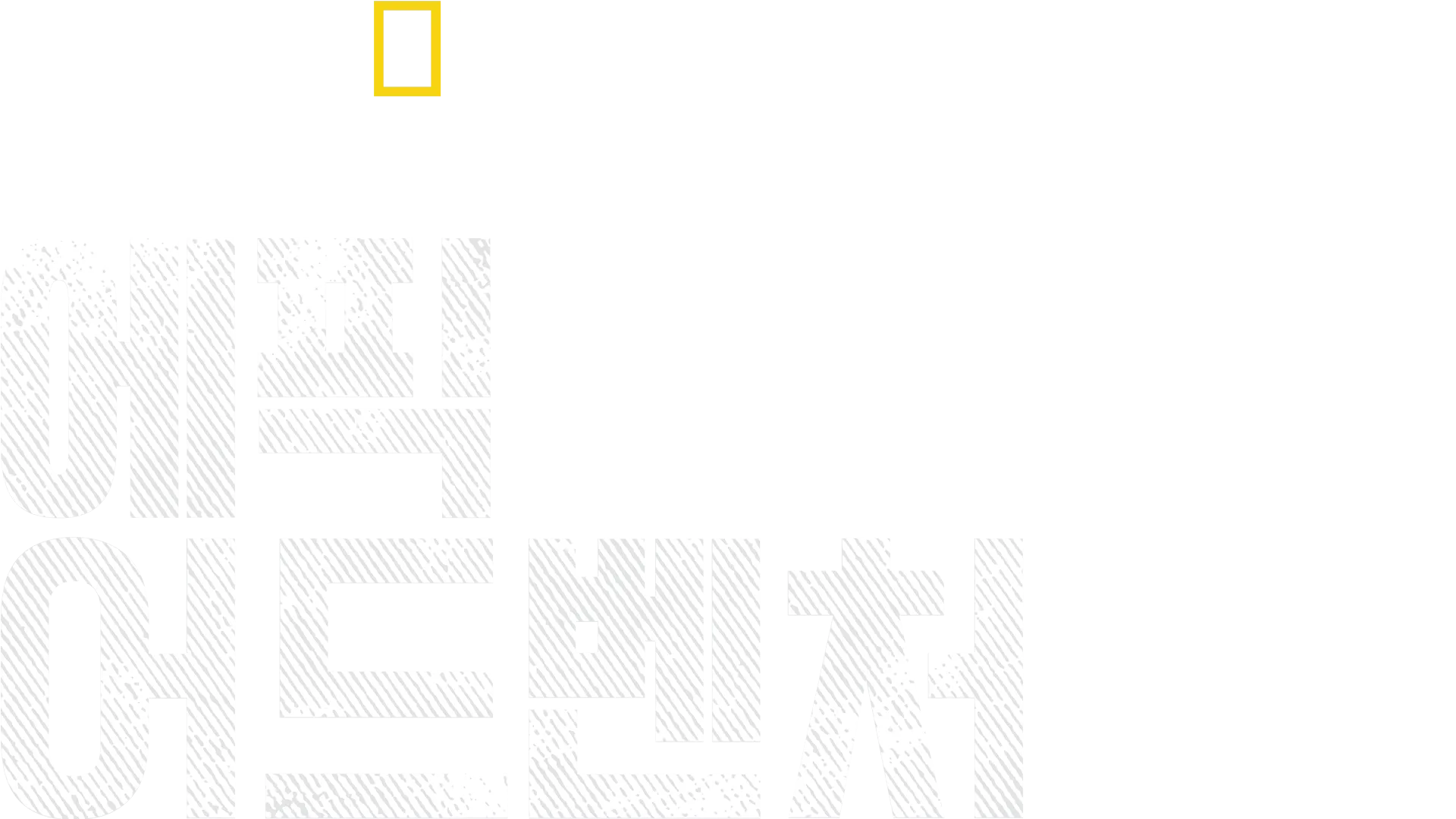 버티 그레고리의 에픽 어드벤처