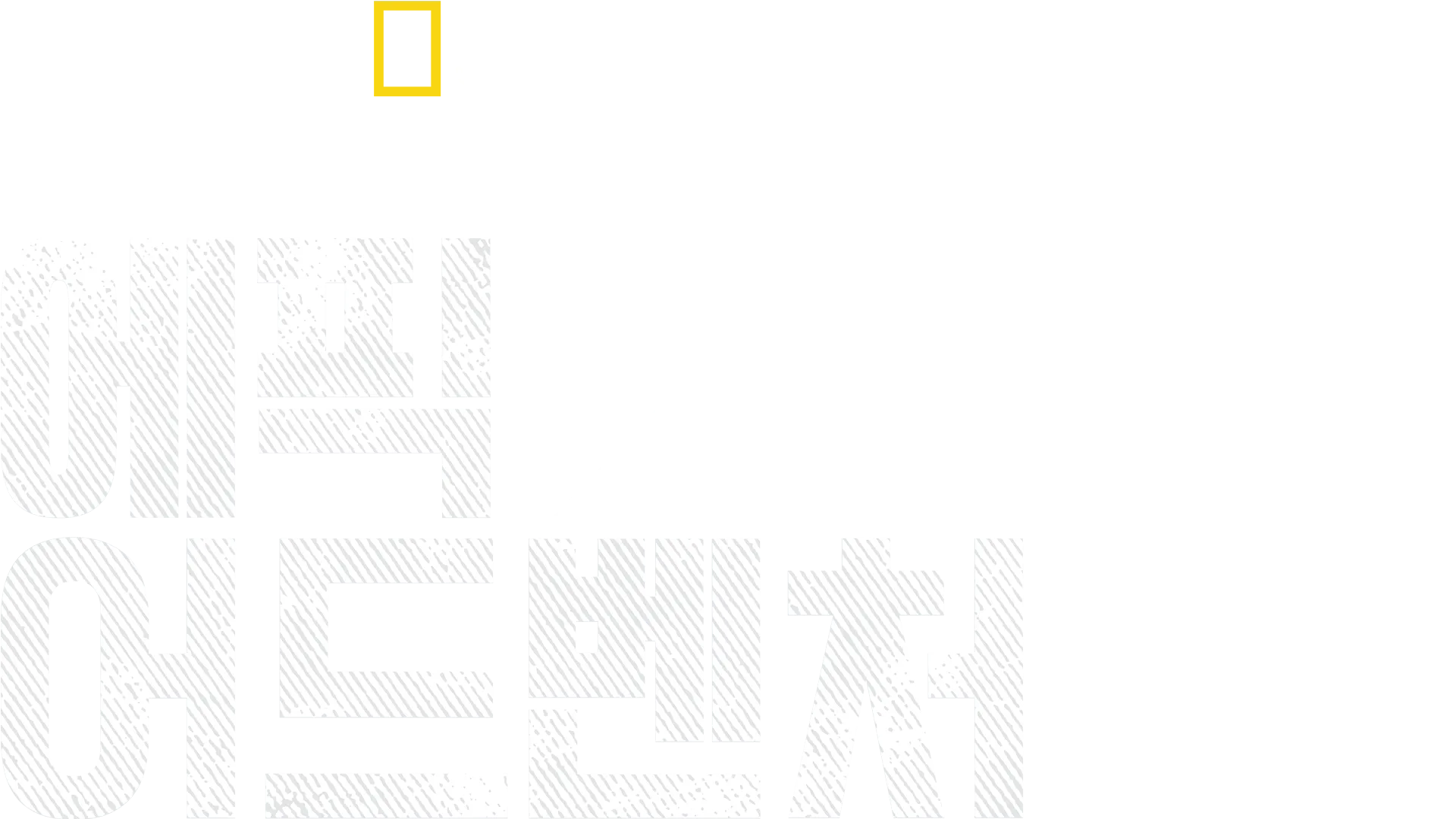 버티 그레고리의 에픽 어드벤처