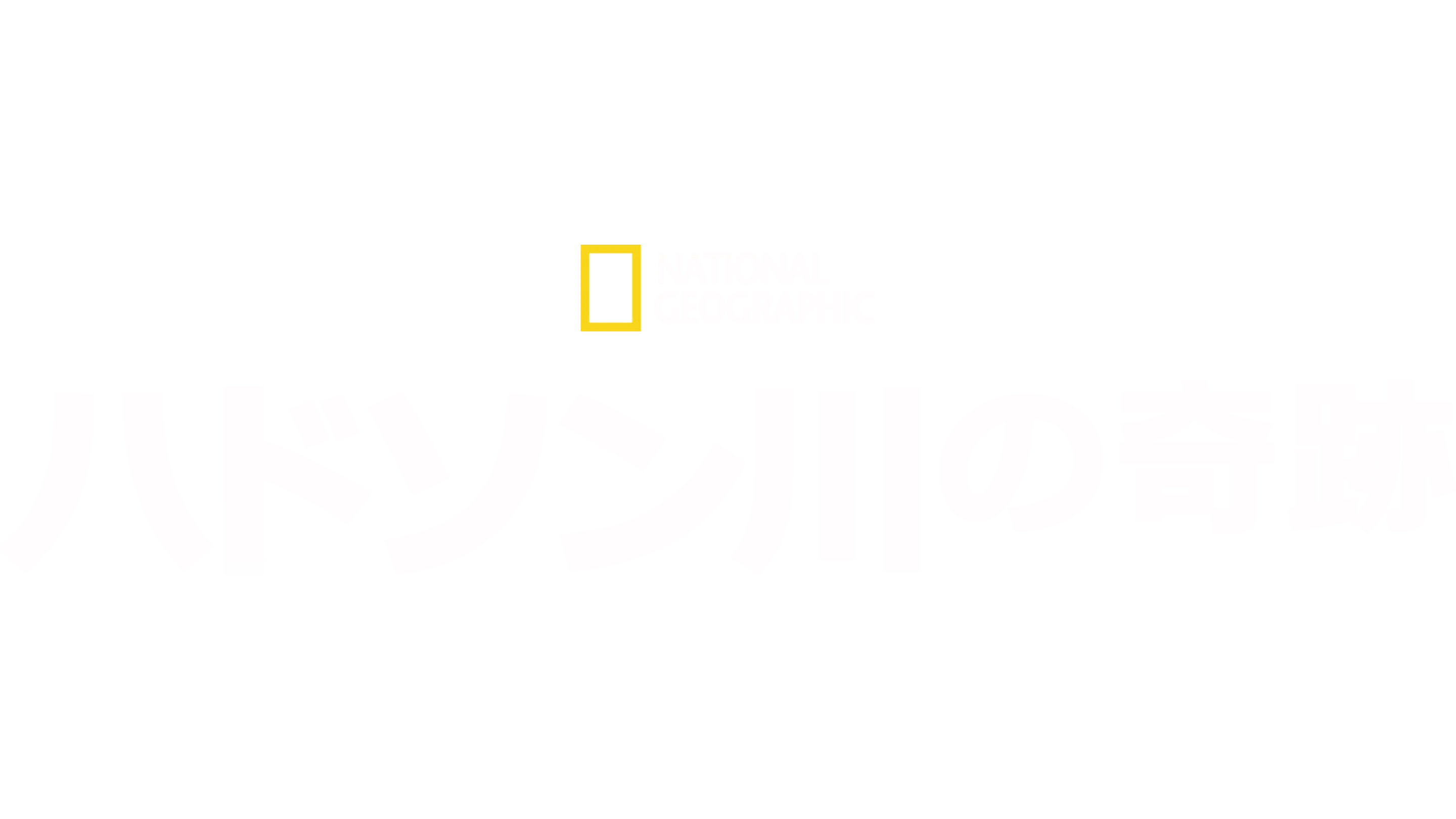 ハドソン川の奇跡