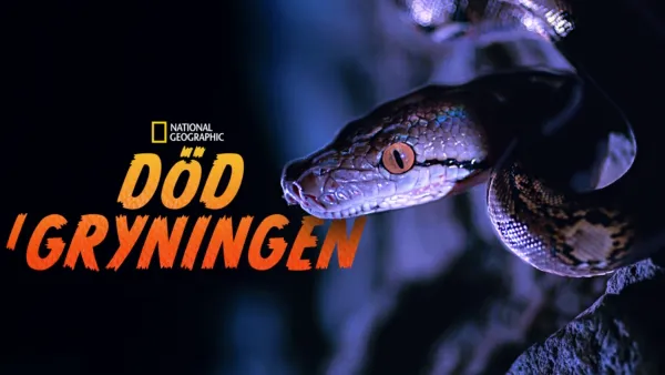 thumbnail - Död i gryningen