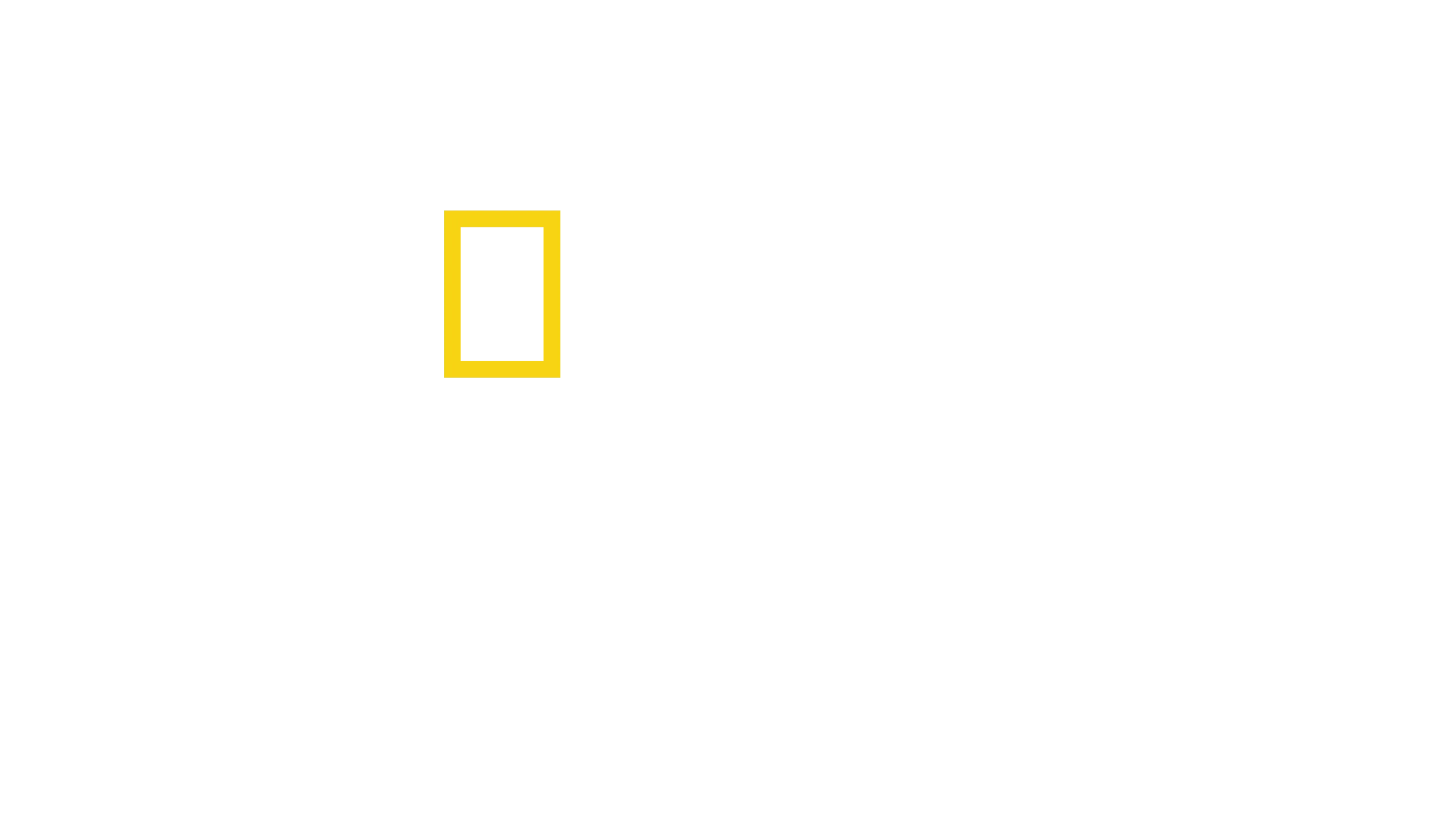 Fotógrafos