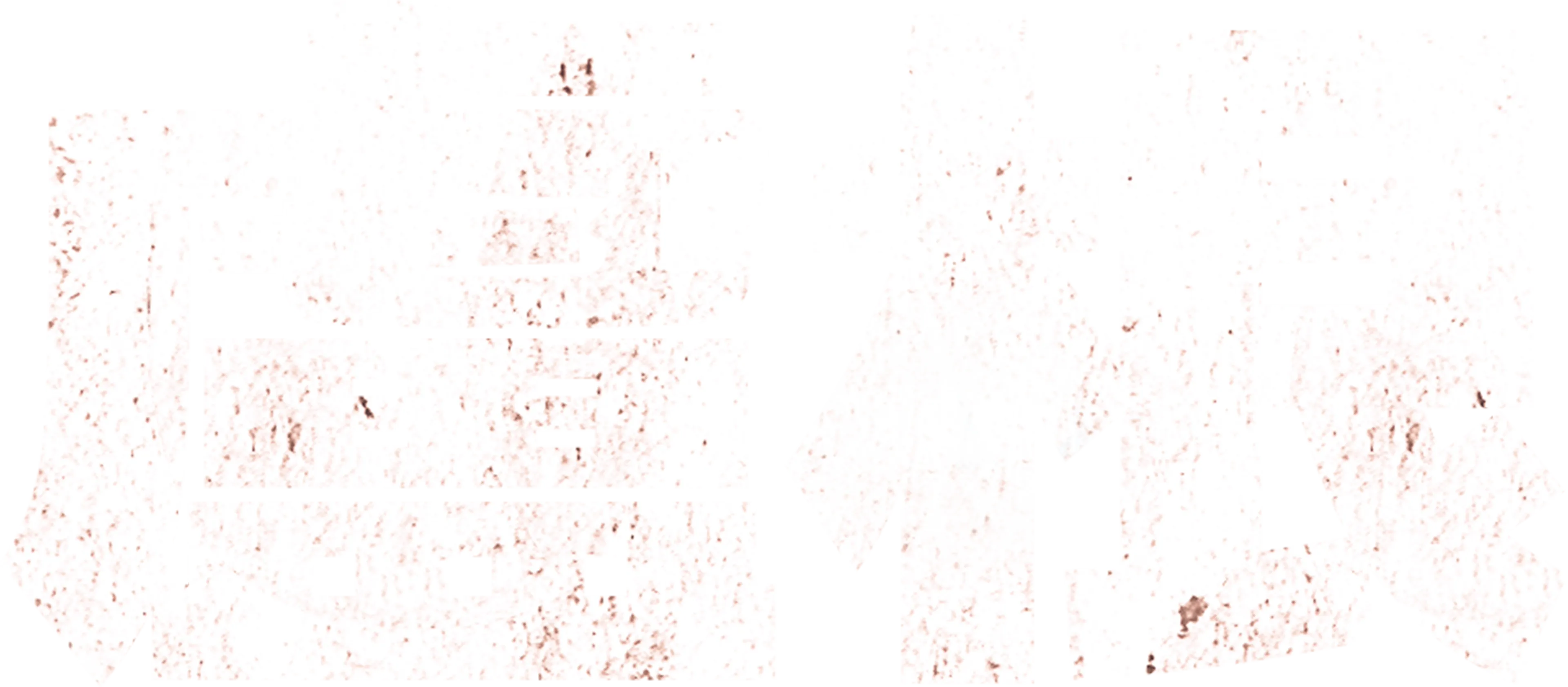 盧根