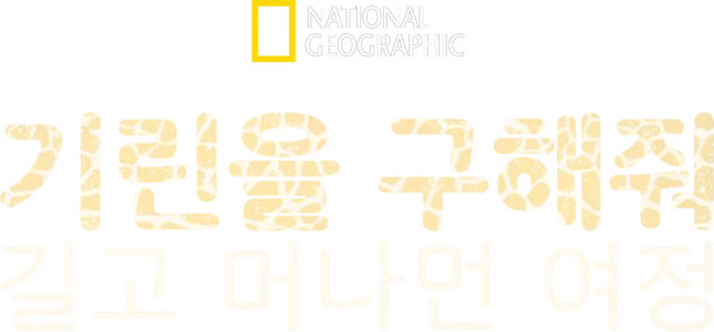 기린을 구해줘: 길고 머나먼 여정
