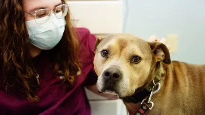 thumbnail - S1:E6 Wax to the Max