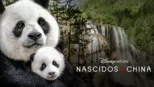 thumbnail - Nascidos Na China