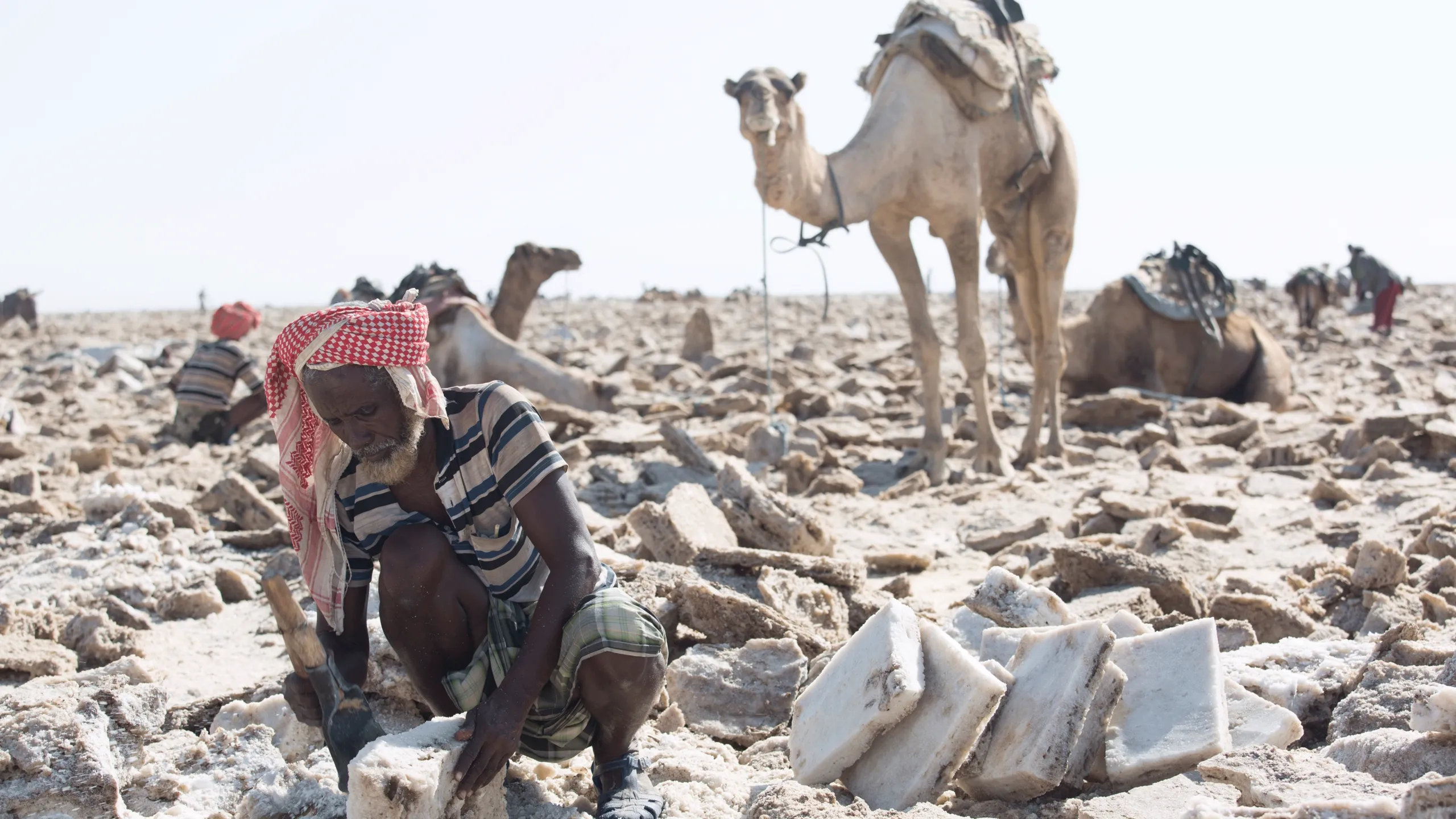 thumbnail - S1:E1 Gasp