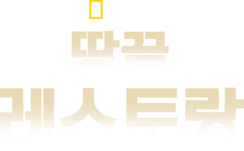 땅끝 레스토랑