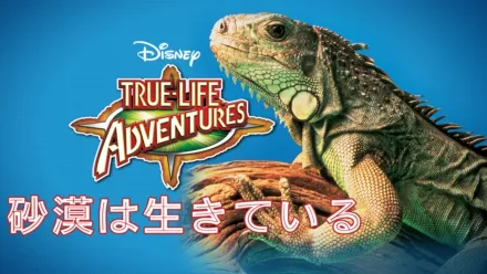 thumbnail - 砂漠は生きている