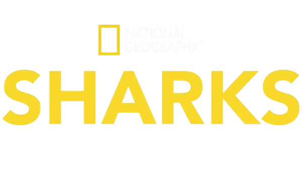 National Geographic Sharks