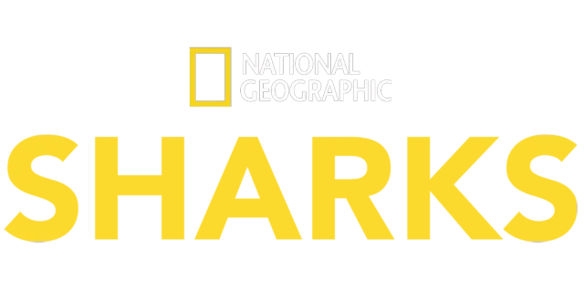 National Geographic Sharks