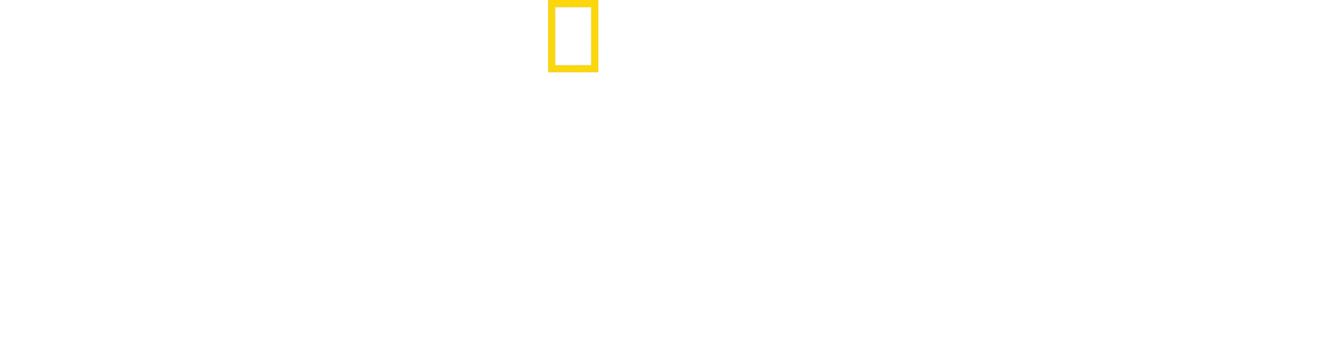 Tubarão: Espécie Espetacular