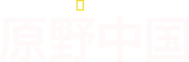 原野中国