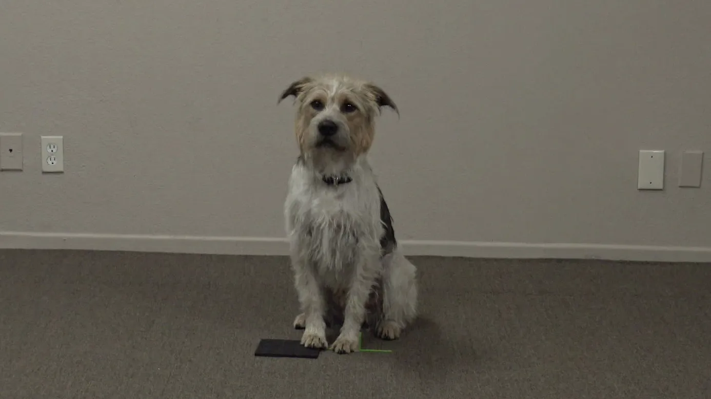 thumbnail - S1:E7 The Dog