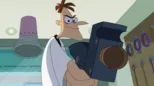 thumbnail - A Chip to the Vet / More Than an Intern S5:E5 A Chip to the Vet / More Than an Intern