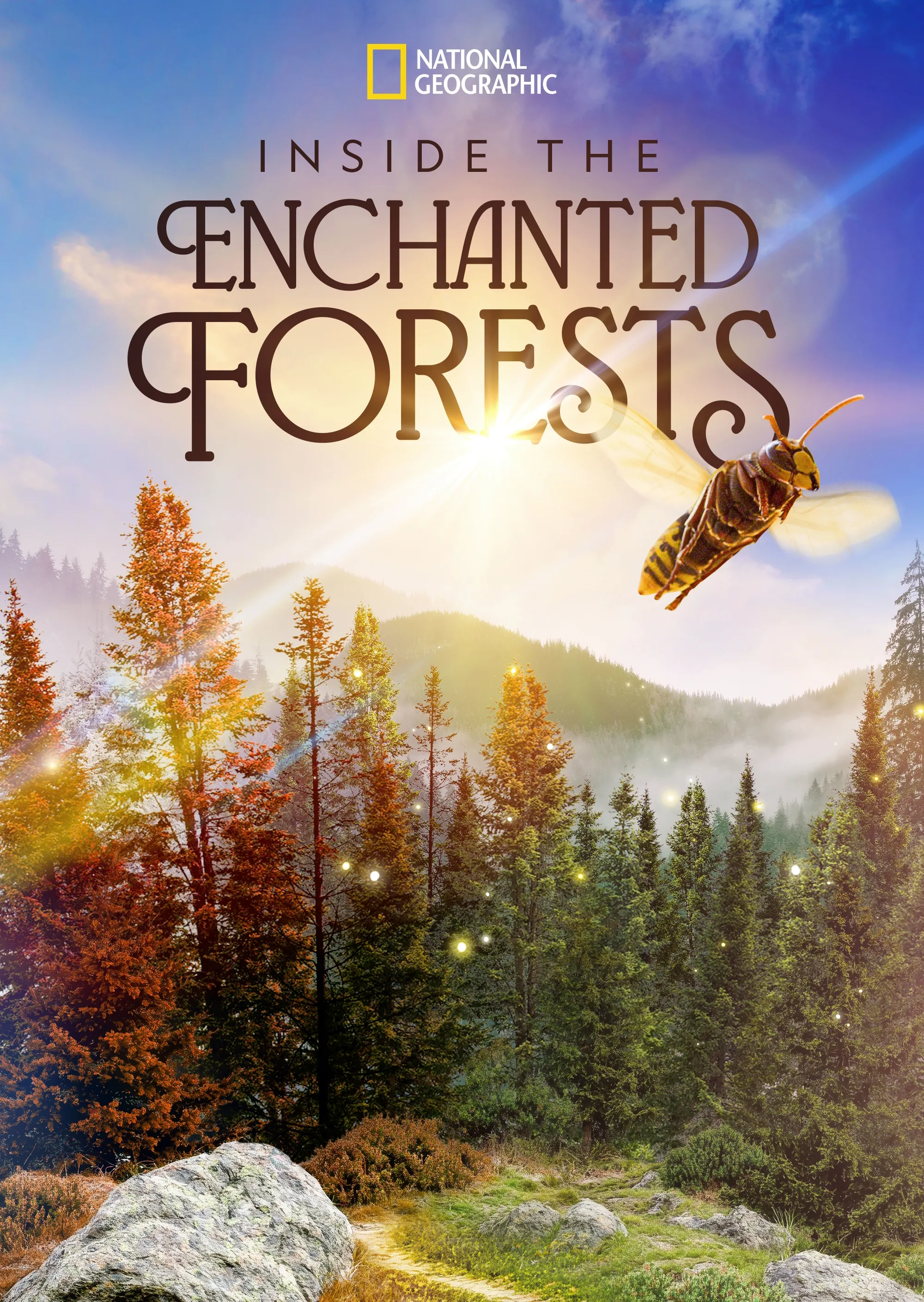 Inside the Enchanted Forests