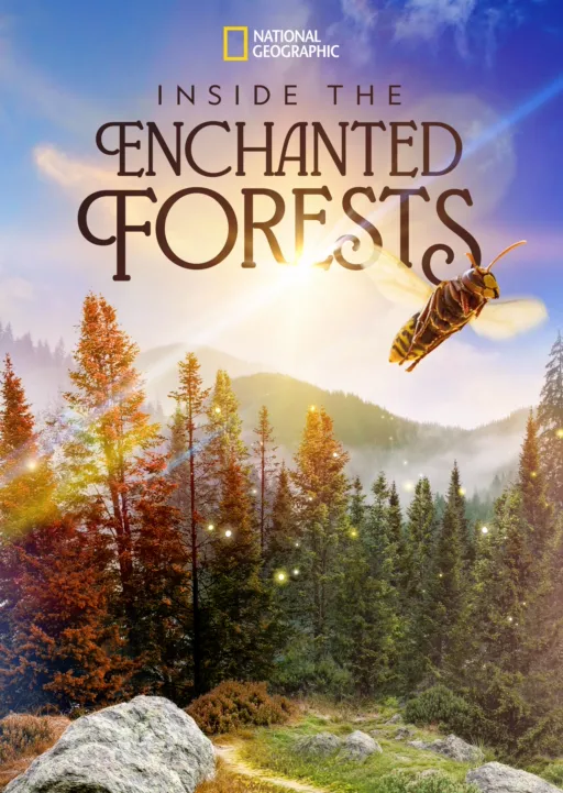 Inside the Enchanted Forests
