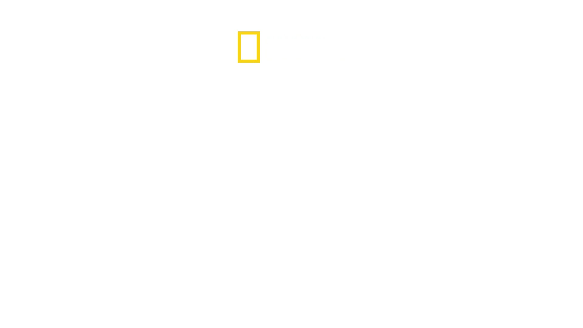 Les requins tueurs