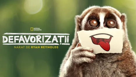 thumbnail - Defavorizații