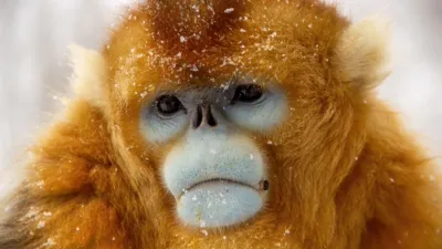 thumbnail - S1:E4 Mountains