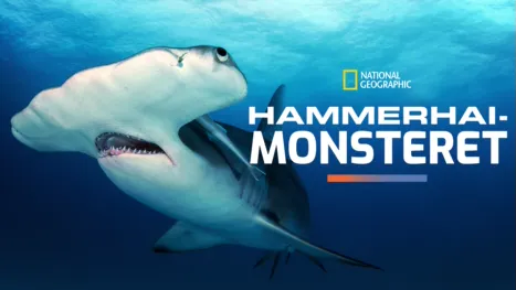 thumbnail - Hammerhai-monsteret