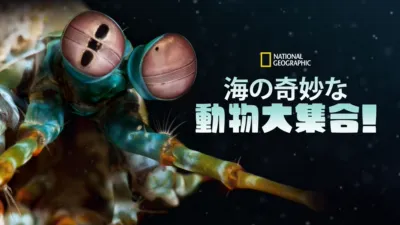 海の奇妙な動物大集合！