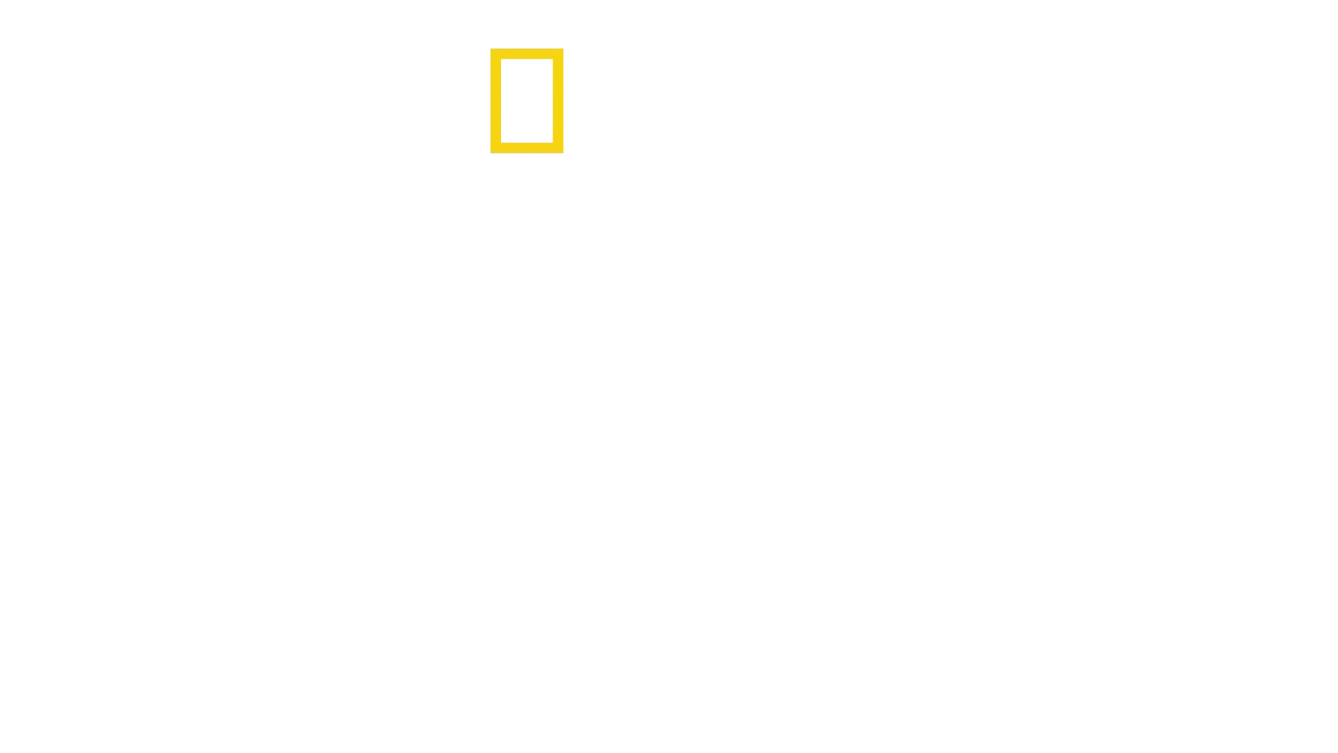 We Feed People - Uno Chef in prima linea