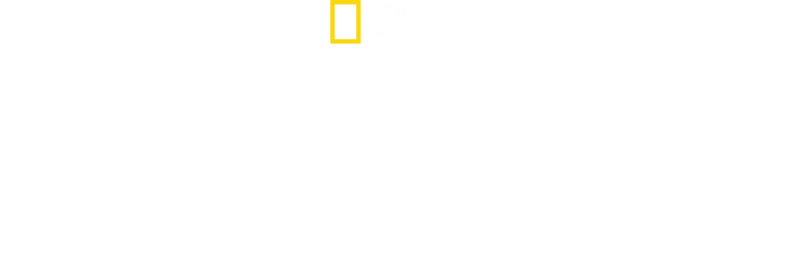 Arctic Ascent with Alex Honnold
