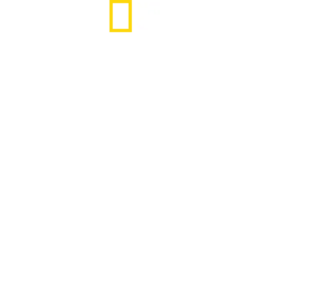 Disneyho říše zvířat