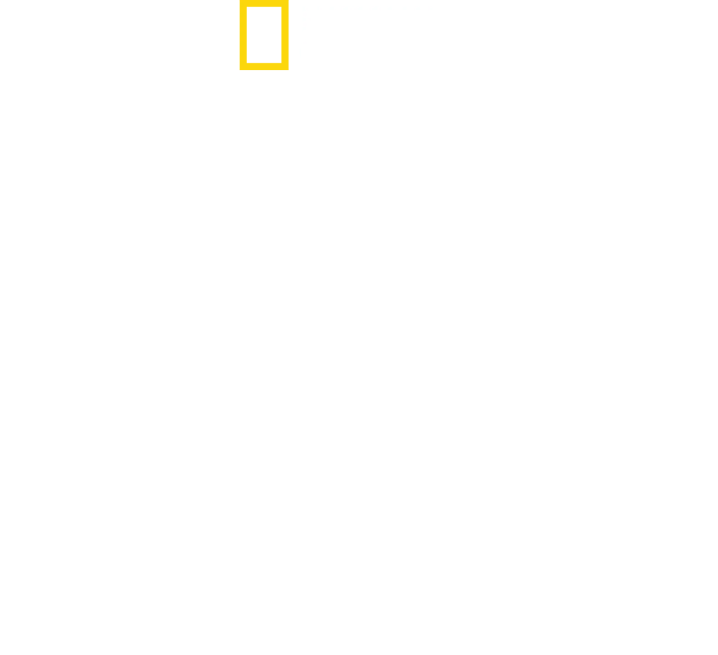 Disneyho říše zvířat