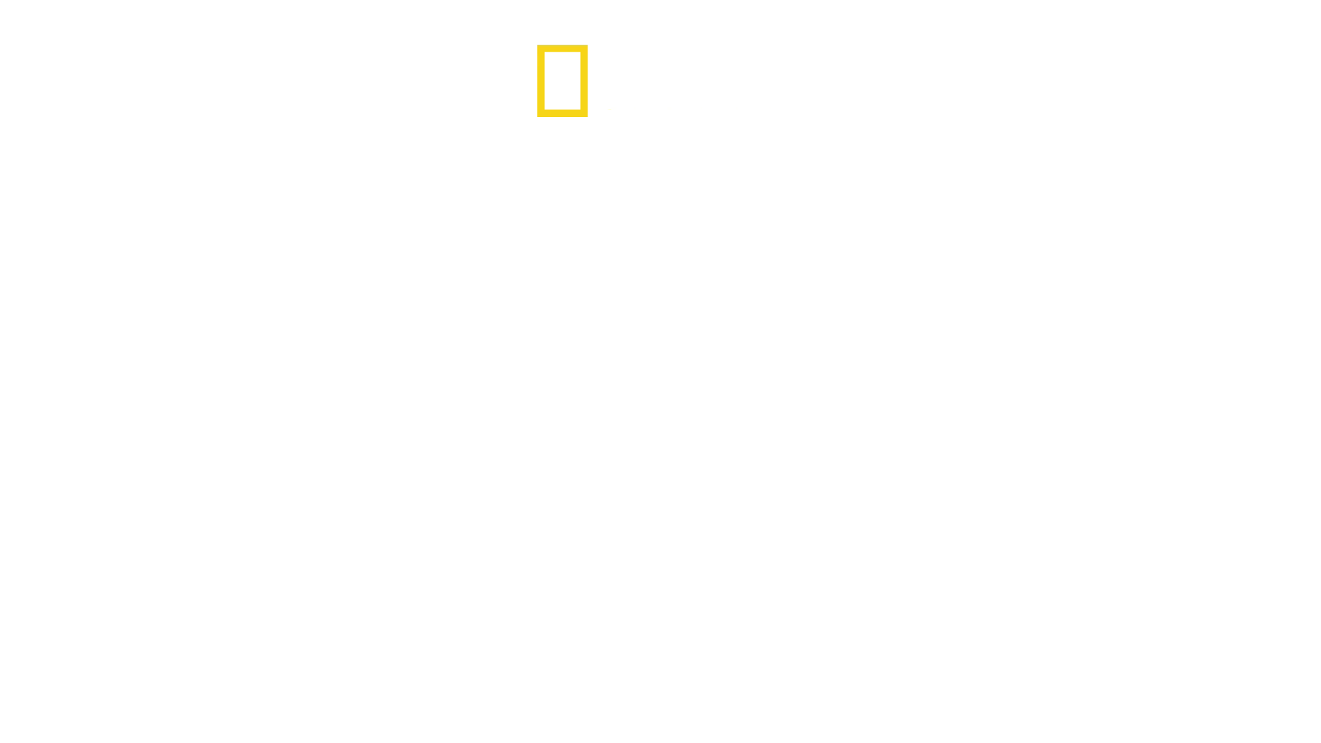 På innsiden av Nord-Korea: Kim-dynastiet