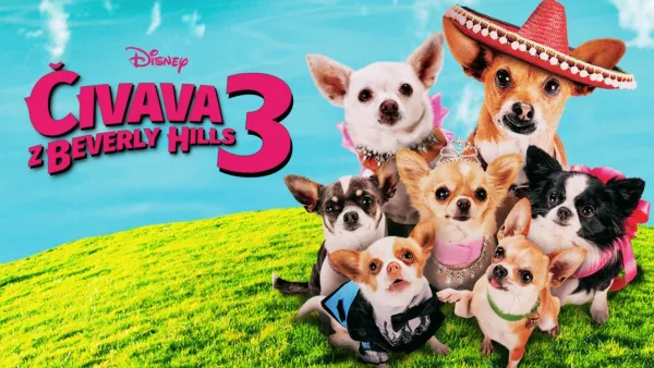 thumbnail - Čivava z Beverly Hills 3