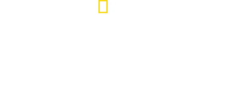 Savage Kingdom