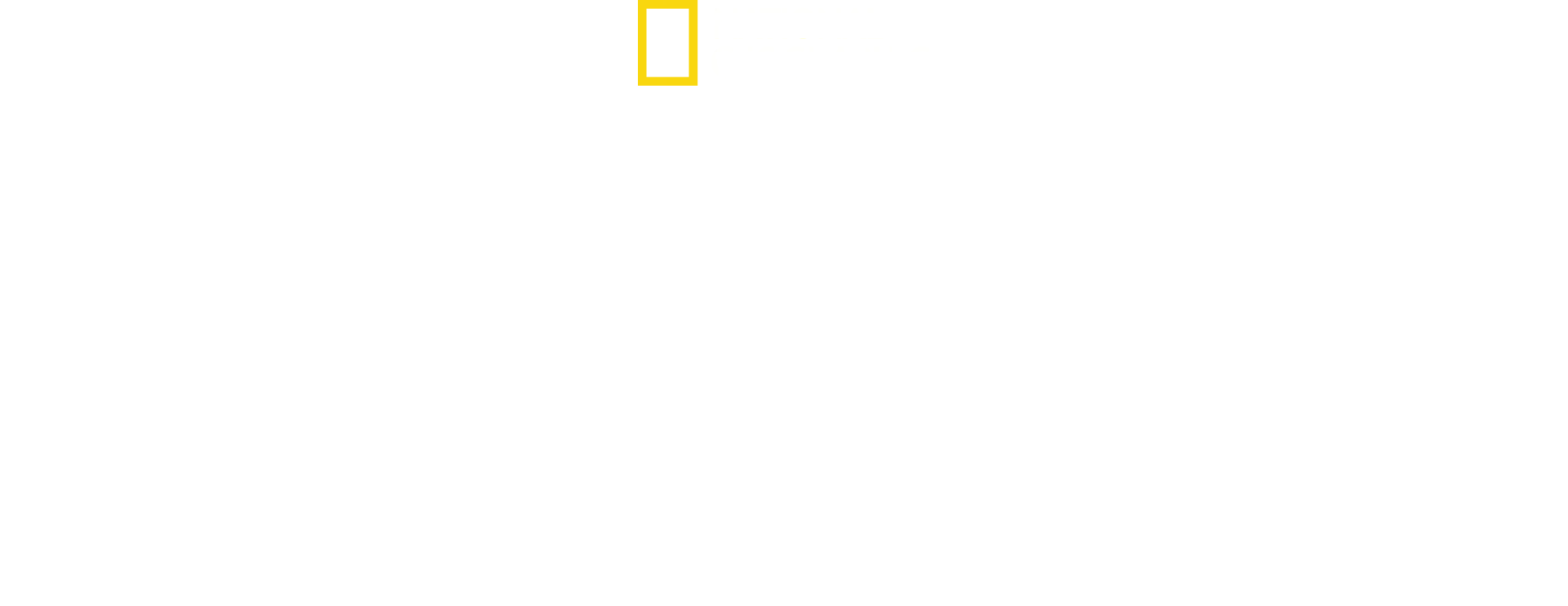 Savage Kingdom