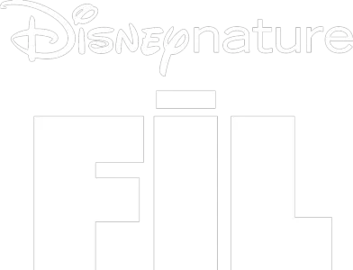 Fil