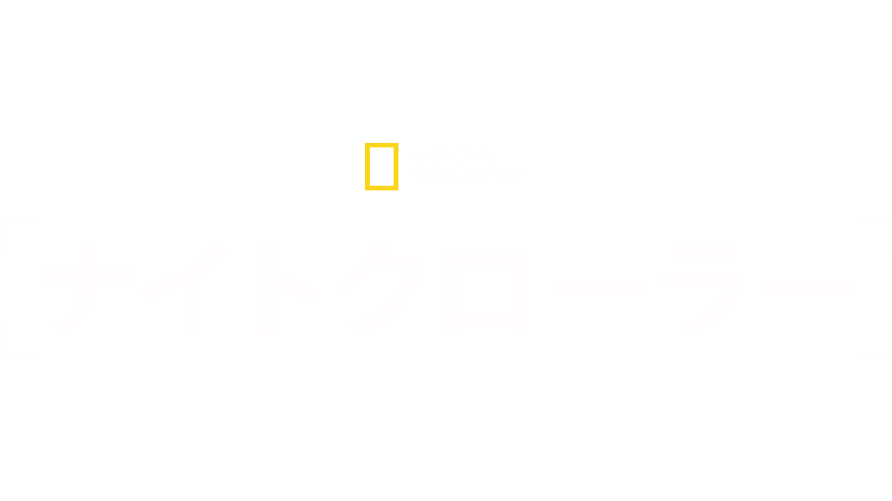 ナイトクローラー