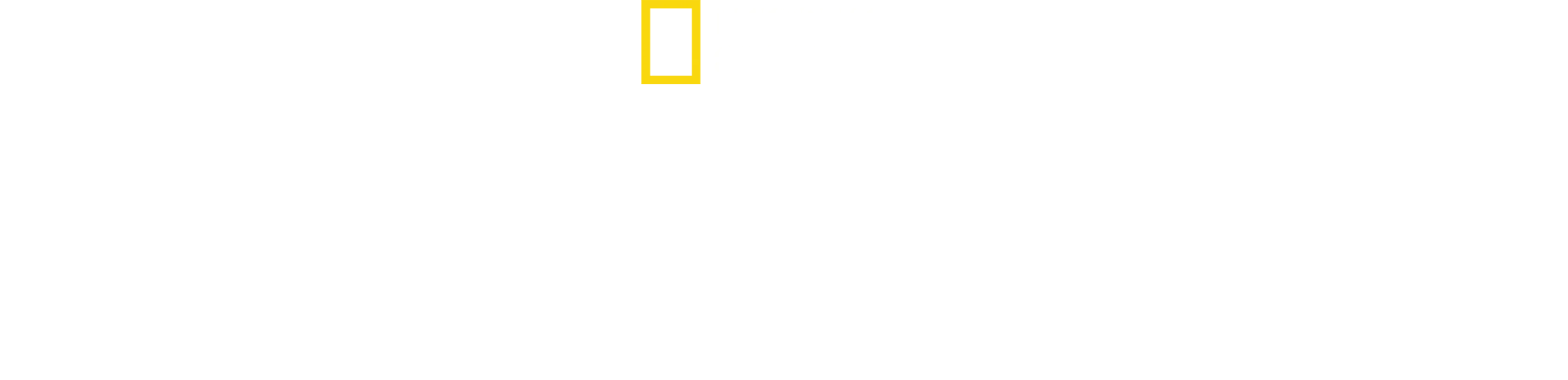 ナイトクローラー