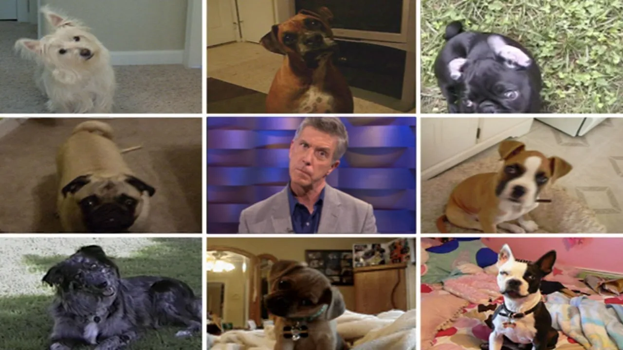 thumbnail - S19:E22 Grandpas Gone Wild and Slo-Mo Gizmo