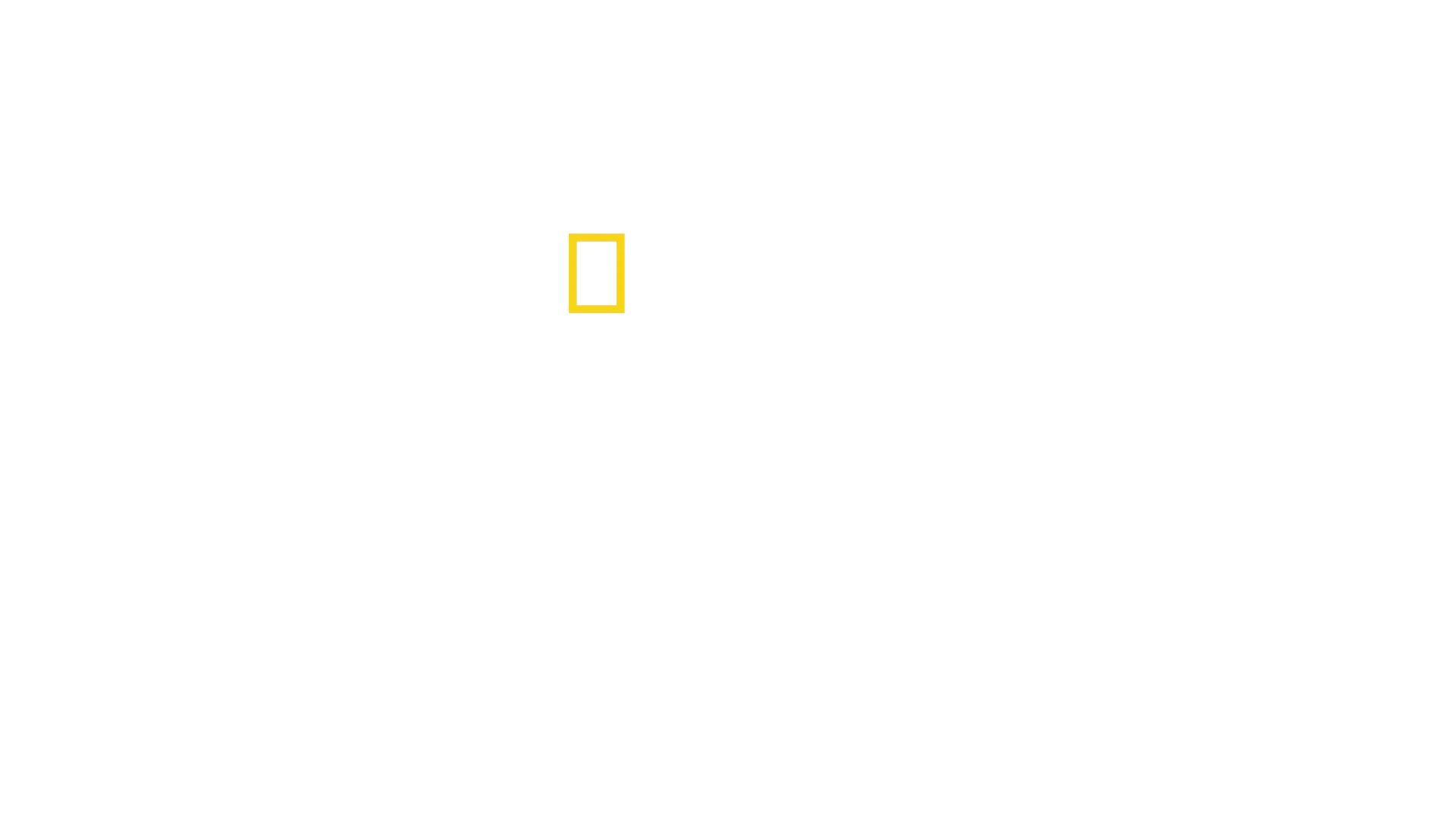 Dyrehagens hemmeligheter