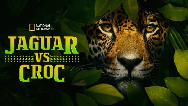 thumbnail - Jaguar vs. Croc