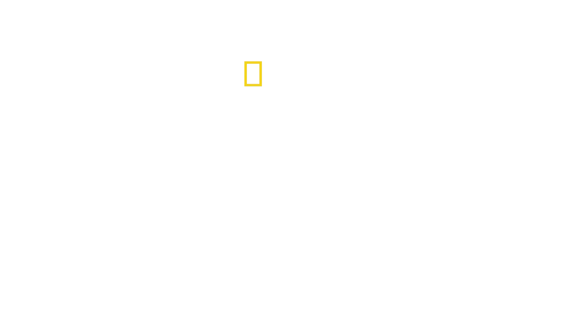 Tierisch gute Erziehung