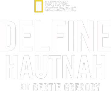 Delfine hautnah mit Bertie Gregory