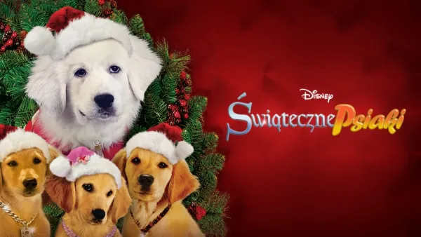 thumbnail - Świąteczne psiaki