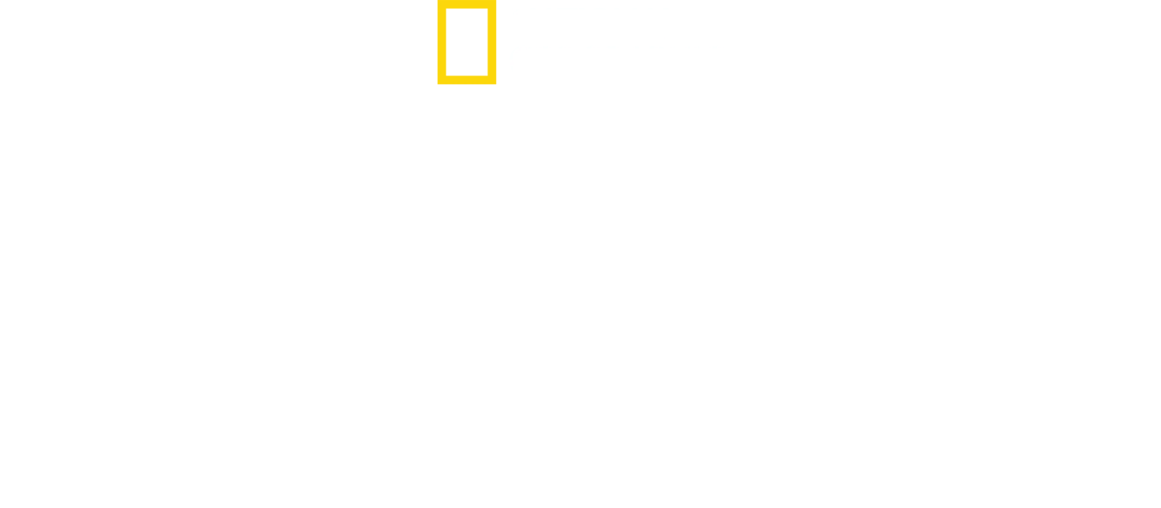 黑暗中的曙光:洞穴醫院