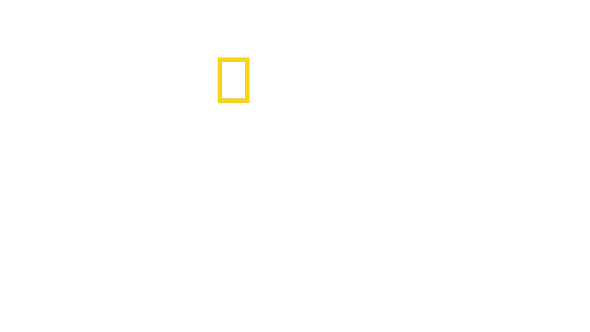 Tubarão: Por Trás do Clássico