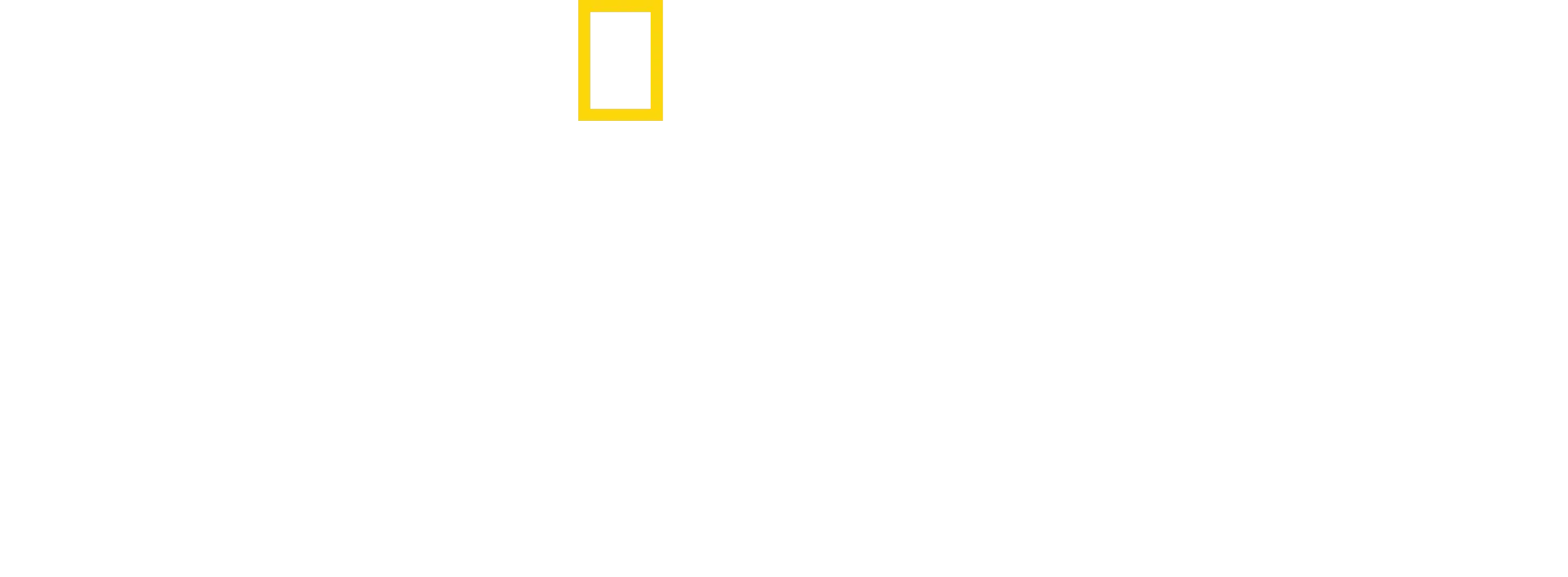 Tubarão: Por Trás do Clássico