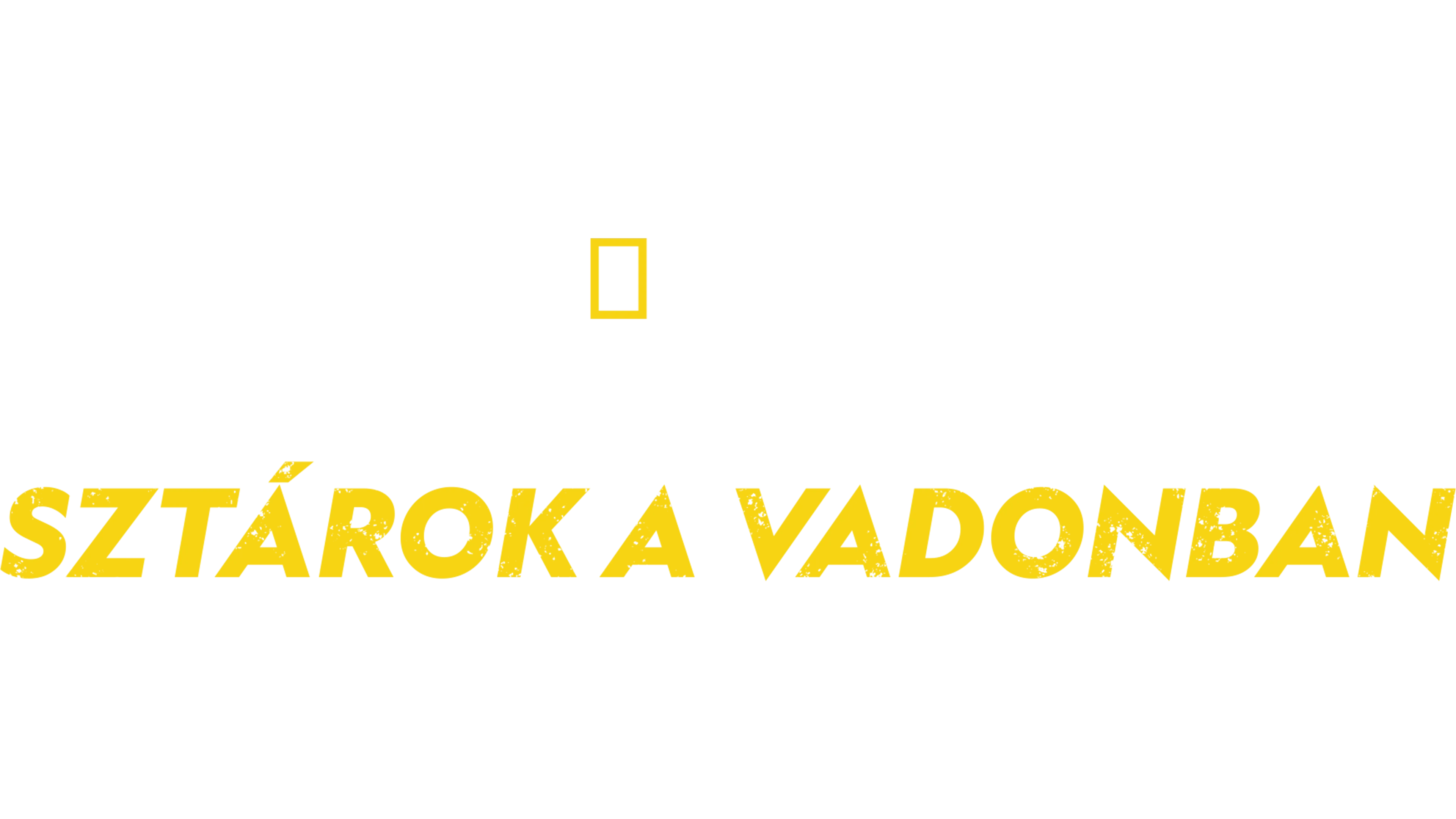 Bear Grylls: Sztárok a vadonban