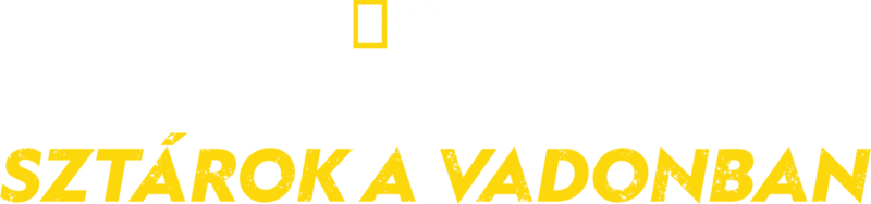 Bear Grylls: Sztárok a vadonban