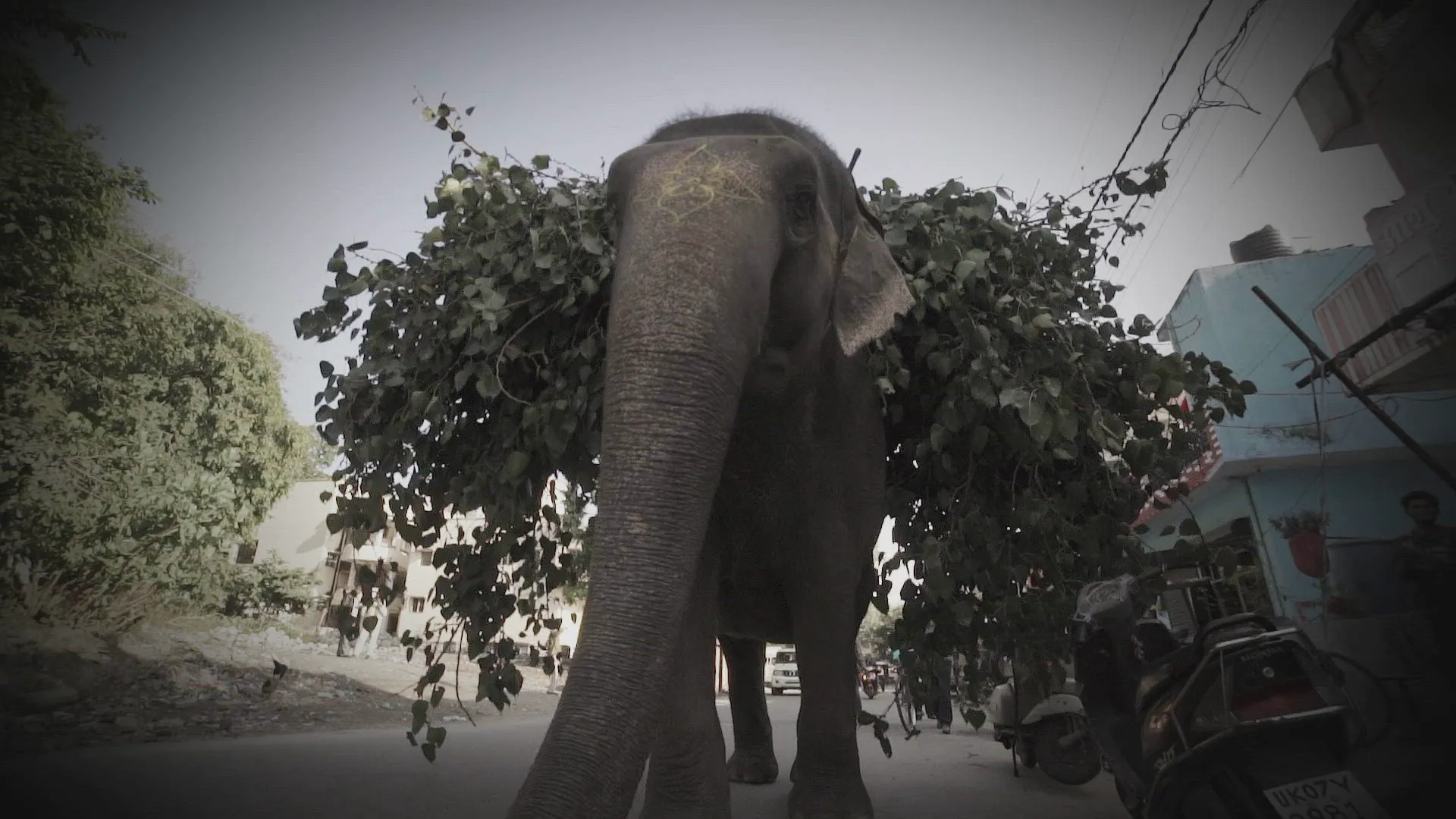 thumbnail - S2:E2 Sweet Revenge